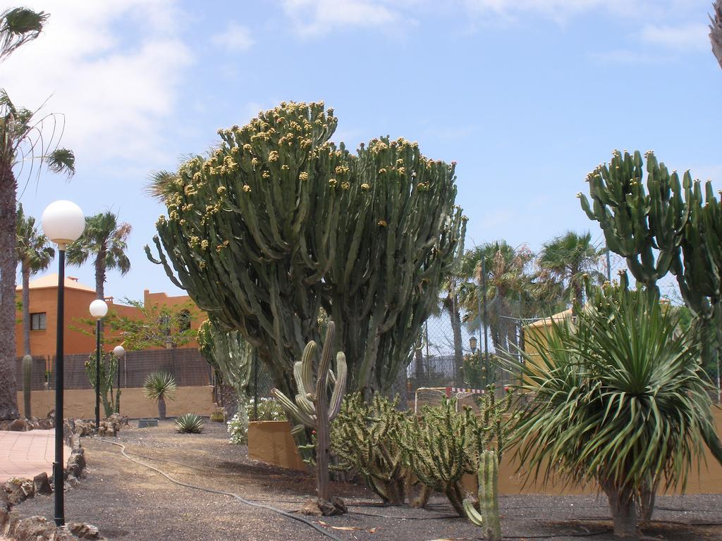 Apartamento Oasis Dunas Corralejo Luaran gambar